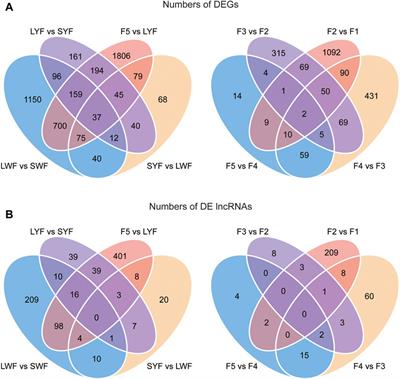 Genome-Wide Gene Expression Profiles Reveal Distinct Molecular Characteristics of the Goose Granulosa Cells